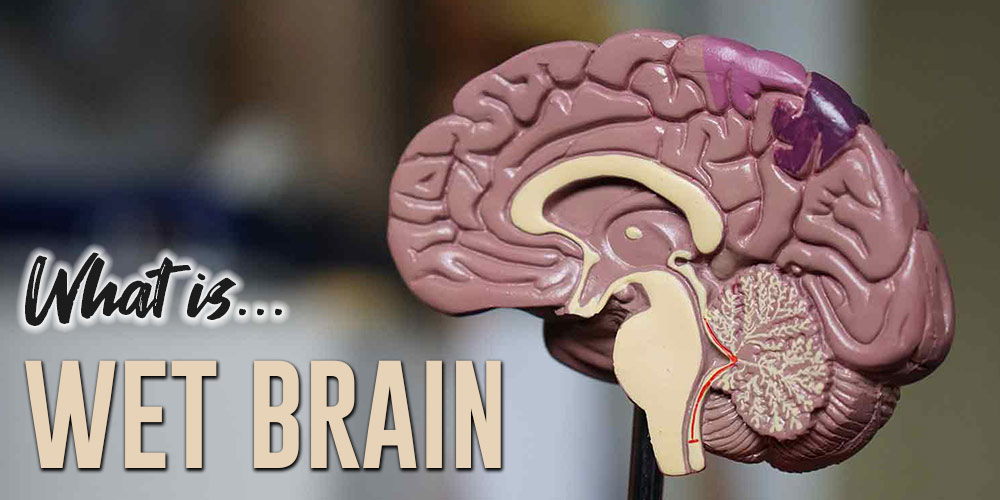 What is Wet Brain?