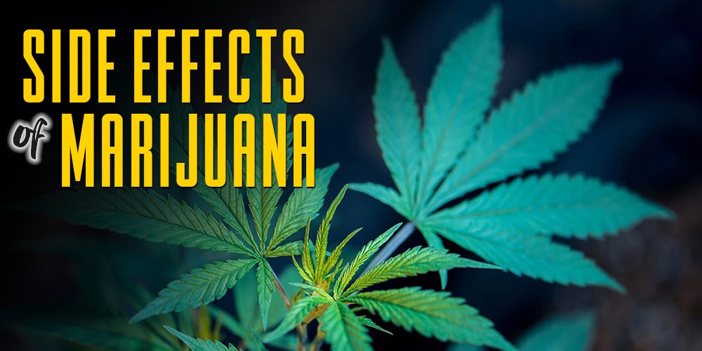 marijuana side effects