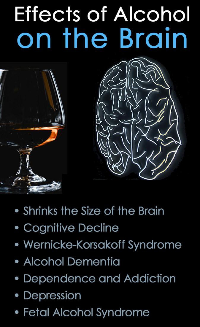 Effects of Alcohol on the Brain