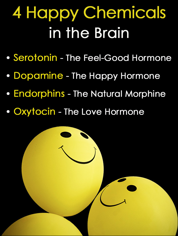 Happy Chemicals in the Brain