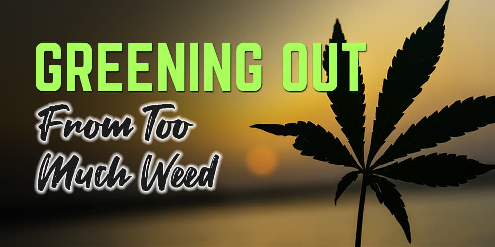 Greening Out From Too Much Weed